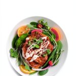 Atkins Diet Poultry Cookbook for Menopause Amazon Kindle eBook-0